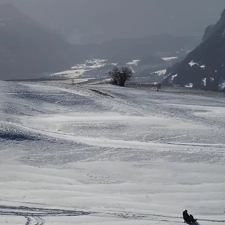 Alte Sennerei ベッド・アンド・ブレックファスト *