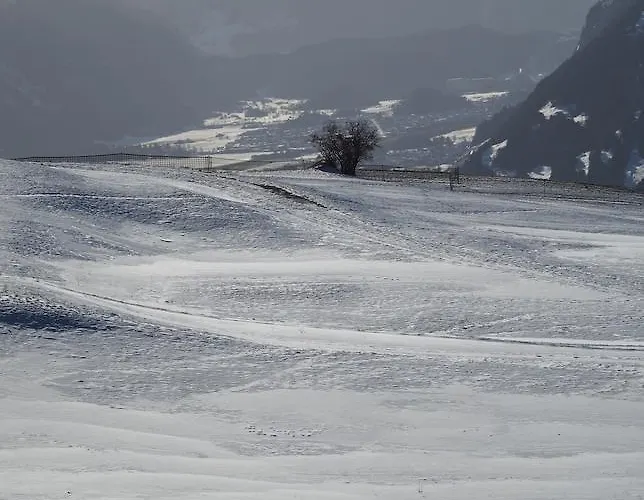 Alte Sennerei Bed & Breakfast *